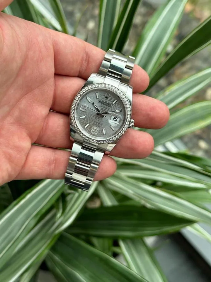 Rolex Datejust 36 116244